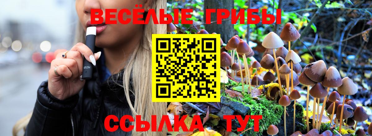 Псилоцибиновые грибы Cubensis  Вход с VPN  Псилоцибиновые грибы MAGIC MUSHROOMS  Чапаевск 
